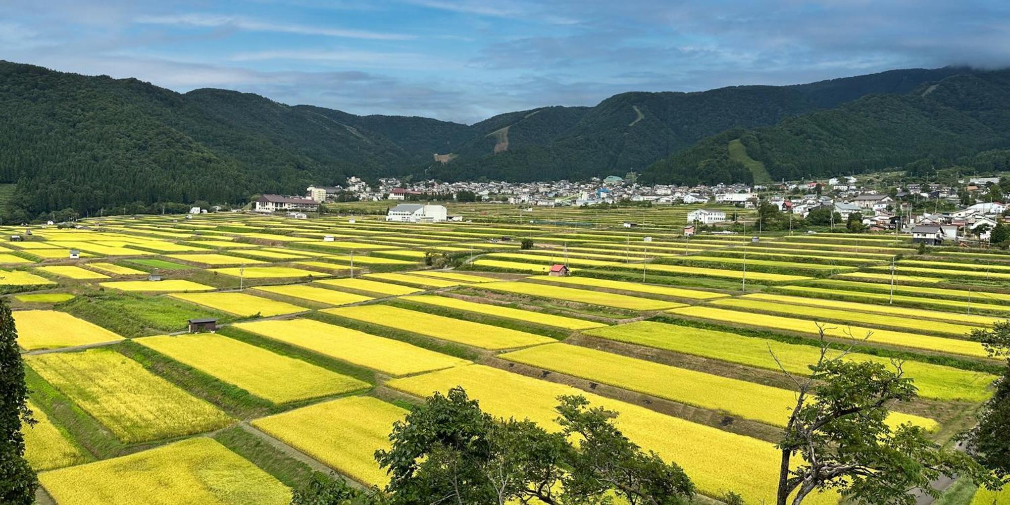 Pearl Yoshigoe Otel Nozawaonsen Dış mekan fotoğraf